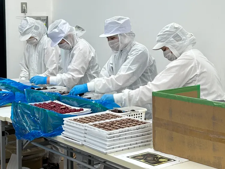 チョコレートを検査する人たち